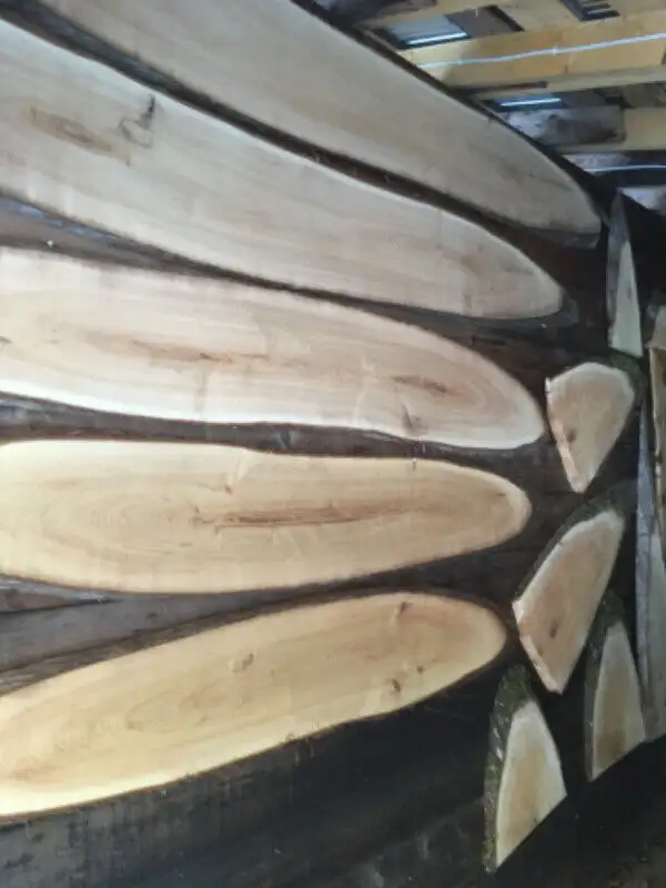 Enseigne Bois Cèdre live edge in Arts & Collectibles in Edmundston - Image 4