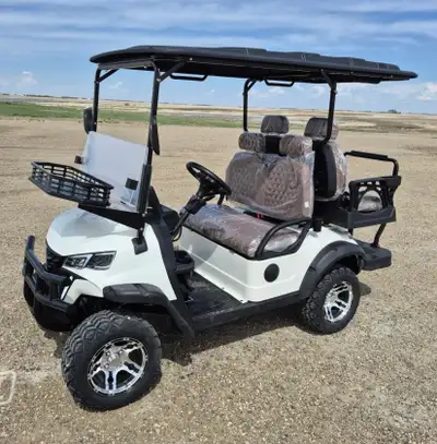 New electric SDlanch Golf Cart 60volt Street legal 4 passenger, fold down seat, Or easily makes 2 pe...