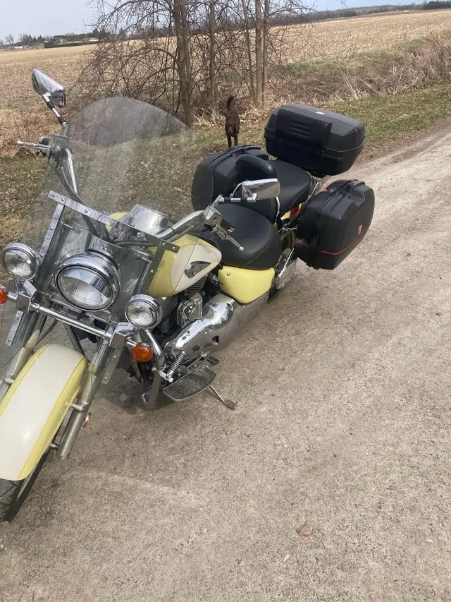 1998 Suzuki Intruder 1500 in Touring in Ottawa - Image 10