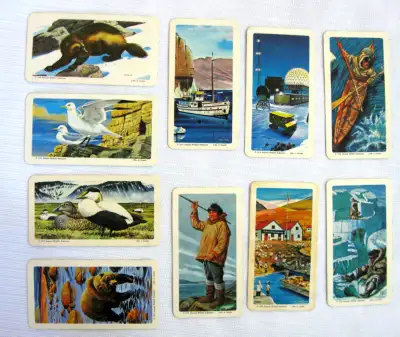 52 ads for red rose tea cards in All Categories in Canada | Kijiji  Marketplaces
