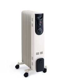 I deliver! Electric Radiator Heater