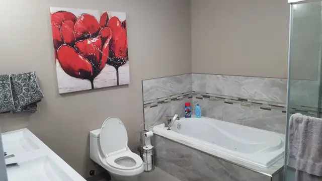 Bathroom  experts64197598888833121