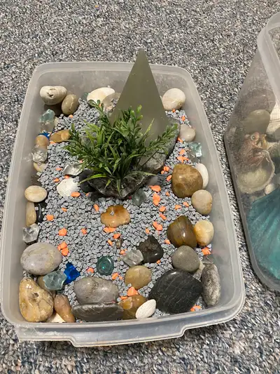 Fish Tank Supplies, View more