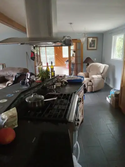 Room for rent in large Rosemont home- Stacey