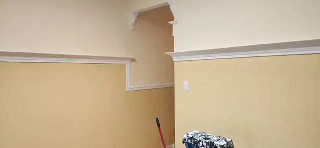 Residential Painter465511811541248004
