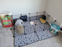 Small pet guinea pig cage and hideouts