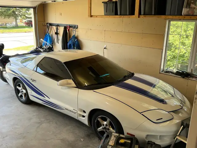beautiful 98 firebird
