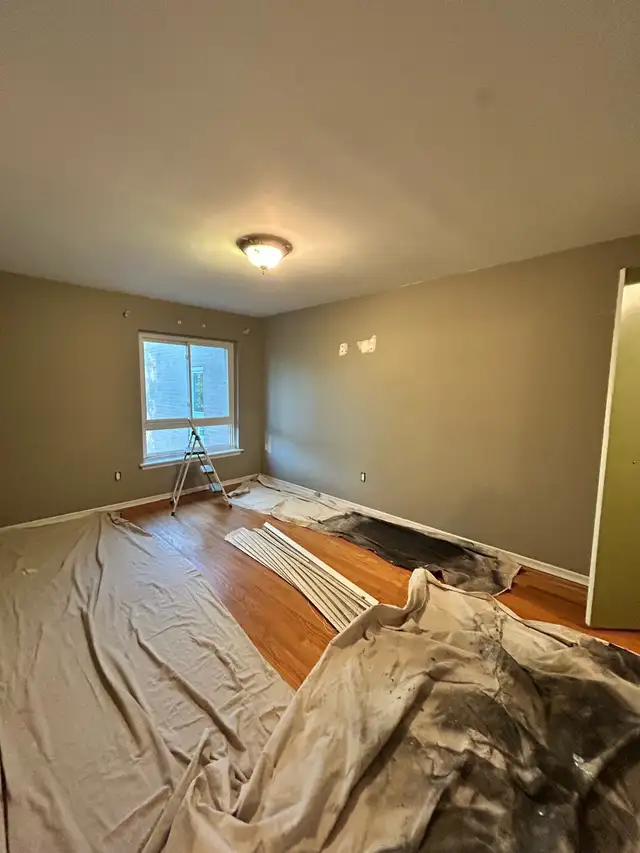 Popcorn Removal 64840194318083121