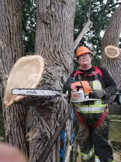 JB's  Tree Services in Other in Windsor Region - Image 4