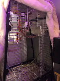 XL Bird cage (PRICE DROP!!)