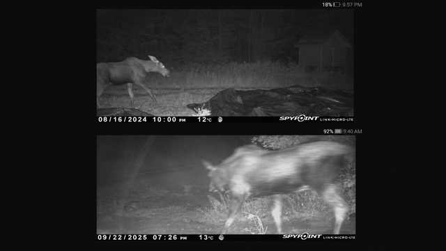217 Acres of Private Land Available for Hunting – Zone 10 East