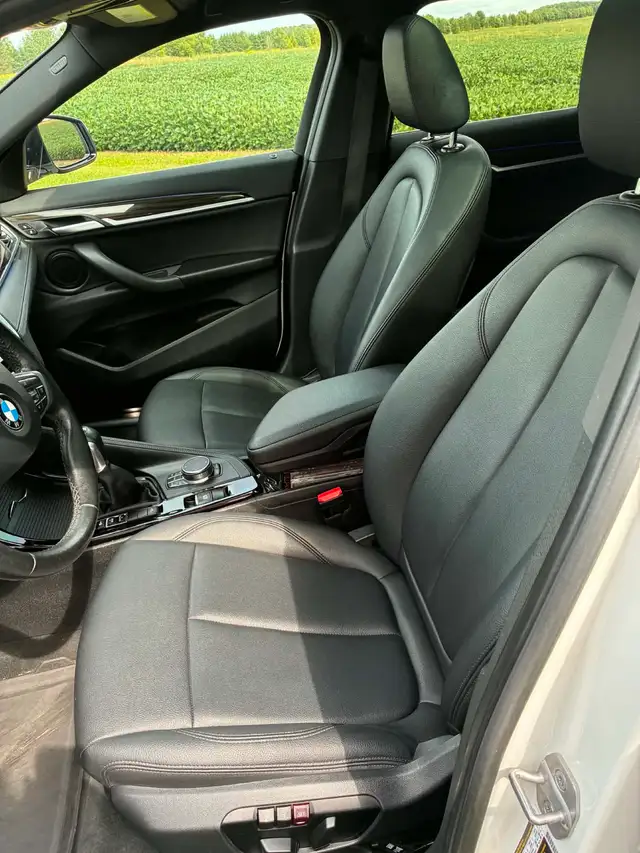 BMW X2 28i580120417770547202
