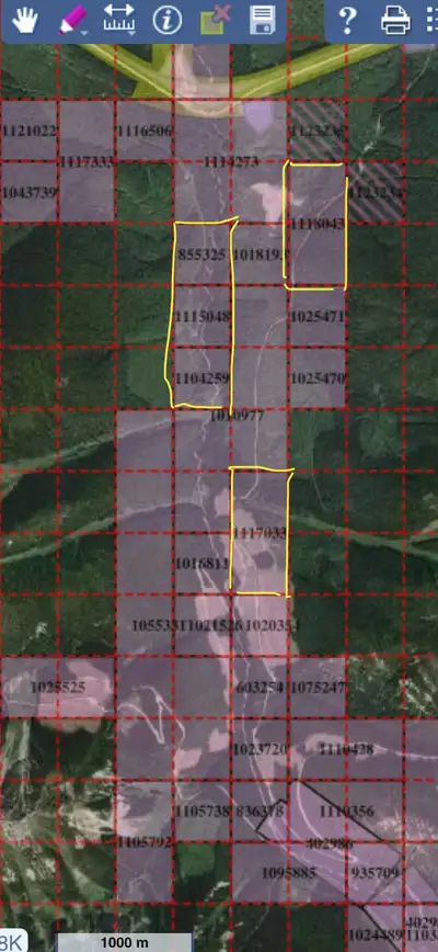 Various claims for sale on Quartz Creek near Golden,BC. Mining or hobby claims. All claims have good...