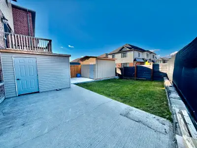 Walkout Basement available for Rent