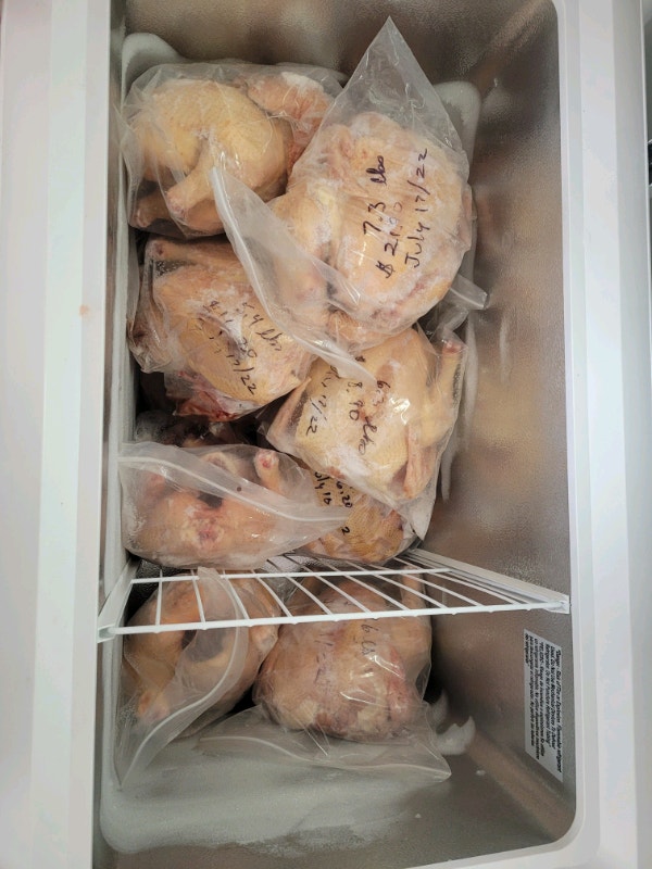 Meat birds for sale fresh frozen sizes vary Livestock ChathamKent