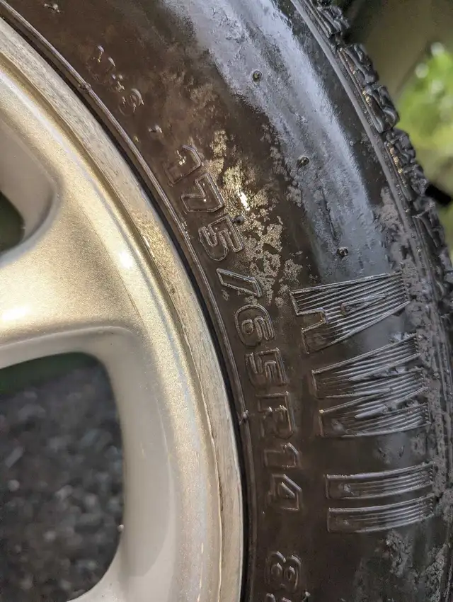 tire été 14" mag toyota in Tires & Rims in Drummondville - Image 5