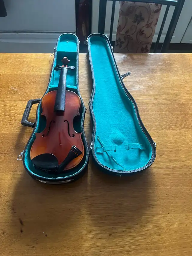 Violin  & Case65561399225858120