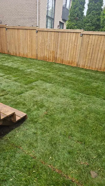 sod installation free estimate , View more