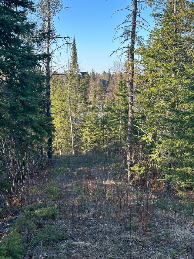 Winnipeg River Lot For Sale in Land for Sale in Kenora - Image 3