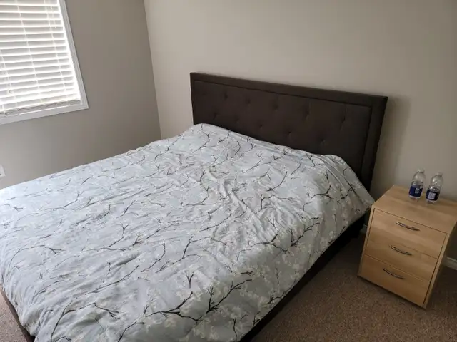 Room for rent in quite peaceful house in Kitchener Ontario in Room Rentals & Roommates in Kitchener / Waterloo - Image 9