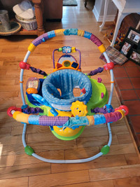 Baby Einstein Jolly Jumper