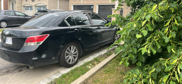 Honda accord in Cars & Trucks in Mississauga / Peel Region - Image 4