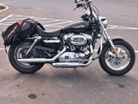 2013 Harley Davidson xl 1200c sportster 