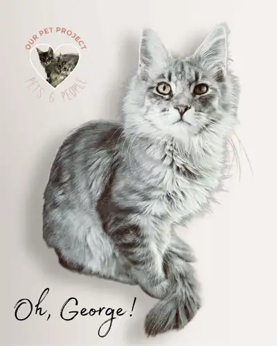 OH, GEORGE! OUR PET PROJECT, ALBERTA, CANADA, View more