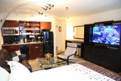DOWNTOWN – Toronto – Lux. Fully Furnished Studio-From Sept. 1st