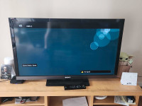 Sony 46" LCD HDTV - moving sale
