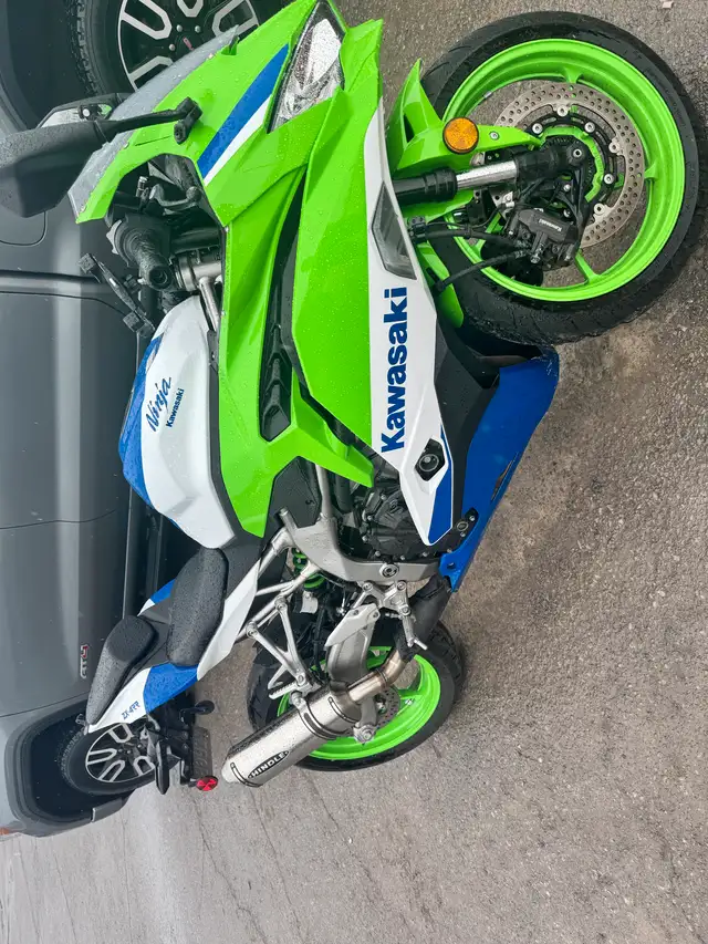 rental ninja ZX4RR in Sport Bikes in Oakville / Halton Region - Image 3