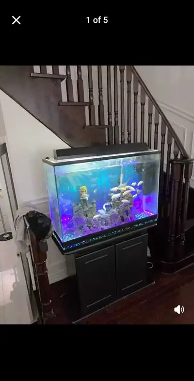 50 gallon Fish Aquarium , View more