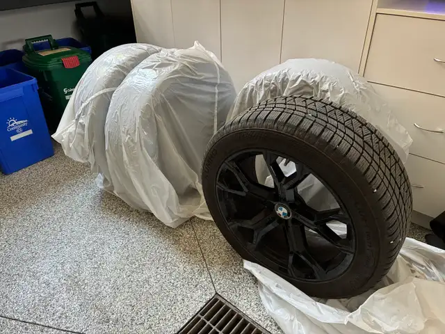 BMW X5 Winter Tires & Wheels set of 4 in Tires & Rims in Markham / York Region - Image 4