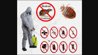 Pest Control Exterminator Bedbug Mice Service  647-609-8202