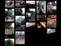 Dry firewood - all hardwood