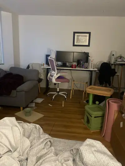 Looking for sublet July-December