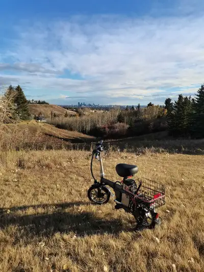 4 positions Folding Electric Bike, loaded,hydraulic, View more