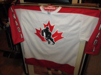 Hockey Hall of Fame Hockey Jersey, Canada or World