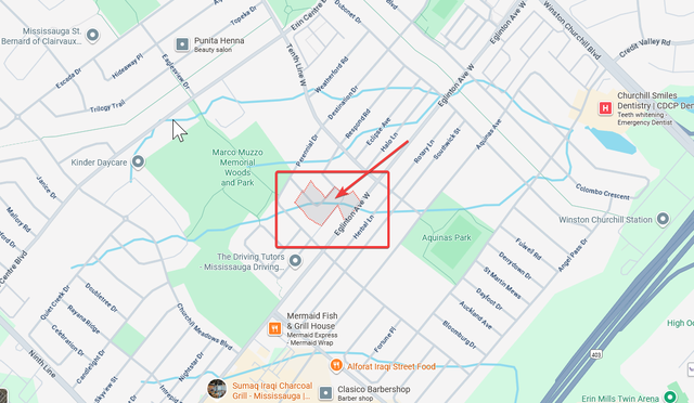 Female  Room for Rent  $850.00_West Mississauga