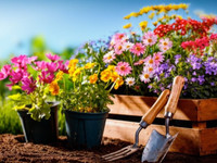 Professional Garden Care / Spring Cleanups