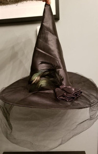 Halloween hats and capes