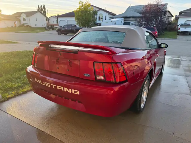 2000 Mustang 3.8L 567435742046464001