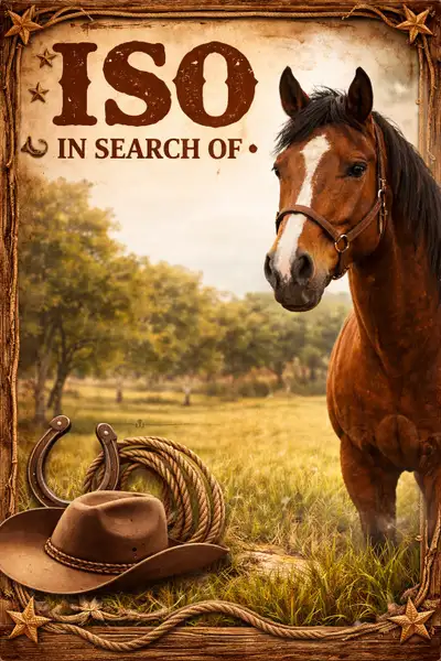 ISO Project horse , View more