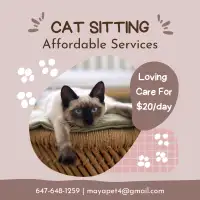 Affordable & Caring Cat Sitter