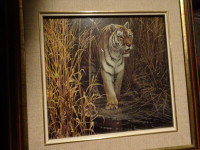 Robert Bateman 'Tiger at Dawn' Framed Print
