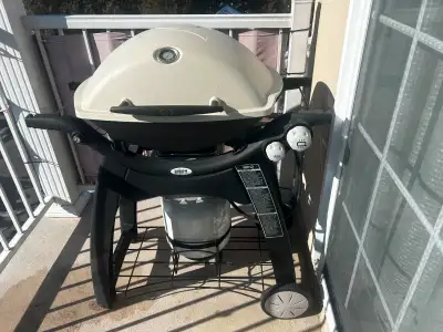 Le Weber Q3200 à 2 brûleurs est super pratique et performant, et pour la cuisson de Pizza sur pierre...