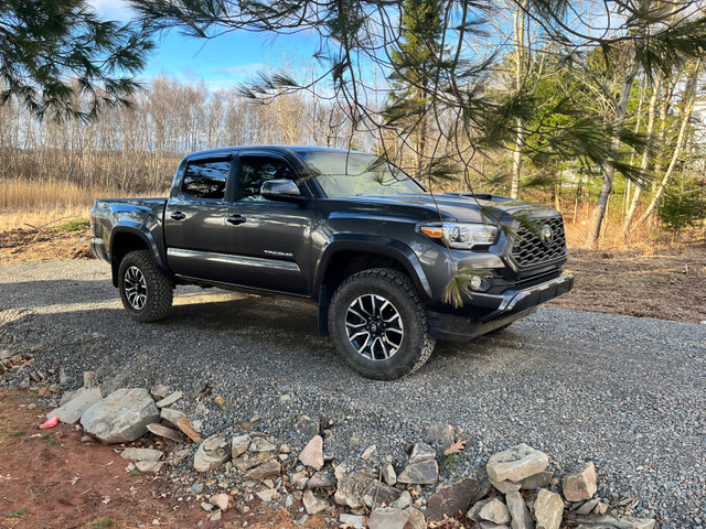2020 Toyota Tacoma TRD Sport Premium Double Cab Short Bed MANUAL in Cars & Trucks in Truro - Image 2