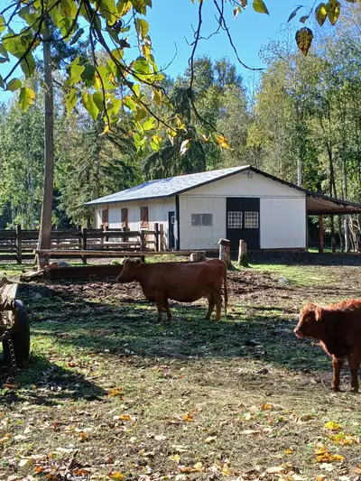 HORSE BOARD AVAILABLE 40 acres, View more