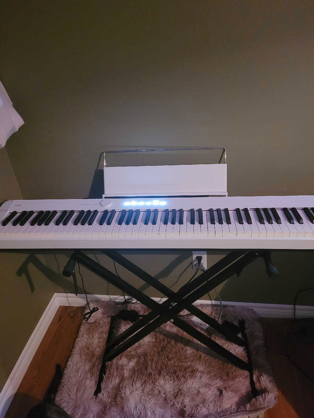 BRAND NEW CASIO privia white piano in Pianos & Keyboards in Guelph