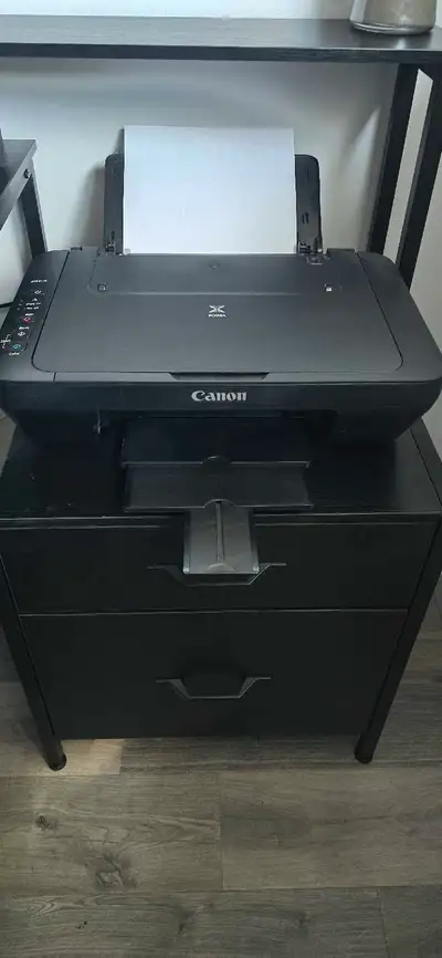 Printer (Canon Pixma) 